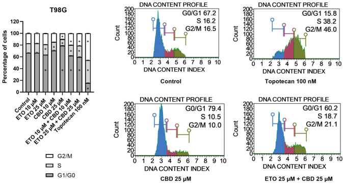 The influence of ETO, CBD, and their combination on cell-cycle distribution in the T98G cell line: The flow cytometry analysis of propidium-iodide- and RNase-A-stained cells allowed for the determination of the percentages of cells in the G1/G0, S, and G2/M phases. Topotecan served as the positive control in this assay. The values presented in the bar chart represent the mean ± SEM obtained from three independent experiments; (*) indicates statistically significant differences from the control group for a specific cell-cycle phase, with p < 0.05. On the right-hand side of the bar chart, representative histograms of DMSO-treated cells (referred to as ‘Control’), topotecan (positive control), and the two most active compounds/combinations are provided. The histograms are color-coded by cell-cycle phase: blue indicates G0/G1, purple represents S phase, and green shows G2/M phases.