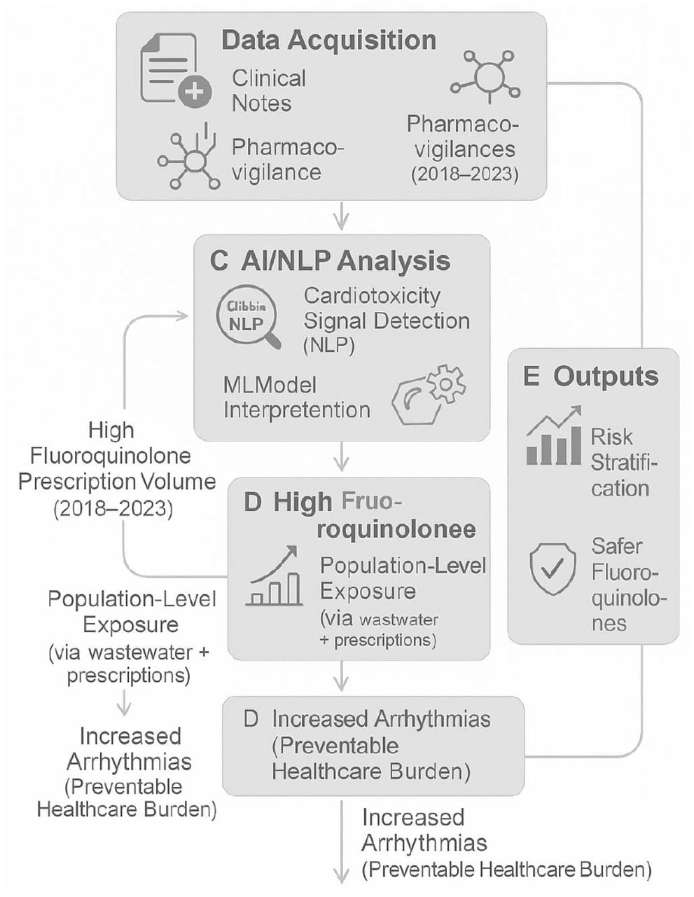Integrated workflow for identifying and mitigating fluoroquinolone-induced cardiotoxicity in the UAE population. The pipeline begins with multi-source data acquisition (A), followed by standardized preprocessing (B). AI/NLP analysis (C) extracts cardiac ADR signals from unstructured clinical notes, while molecular modeling (D) identifies high-risk structural motifs. Final outputs (E) enable precision monitoring and drug redesign. SHAP = Shapley Additive Explanations; QSAR = Quantitative Structure-Activity Relationship.