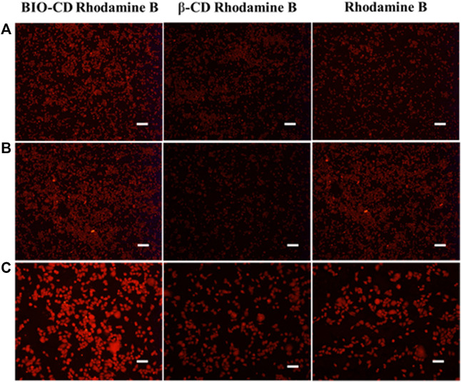 Targeting cellular delivery of Rhodamine B by BIO-CD. Fluorescence imaging for cellular uptake of BIO-CD load Rhodamine B in HepG2, Hela and LO2 cells. (A) LO2, (B) HepG2, (C) A549. The concentrations of free Rhodamine B (20 μg ml−1) and inclusion complex mentioned are as per mole of Rhodamine B. Scale bars are 25 μm.