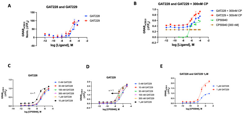 (A) Fluorescent signal of GAT228 and GAT229 at altering GRABeCB2.0 basal fluorescence as determined by averaging ΔF/F0 normalized between 4 and 5 min. (B) Fluorescent signal of GAT228 and GAT229 at altering GRABeCB2.0 fluorescence in presence of 300 nM CP55940, as determined by averaging ΔF/F0 between 4 and 5 min. (C) Non-competitive agonism of GAT228 in the presence of a range of concentrations of CP55940. Curves were fitted to a nonlinear regression model with four parameters, variable for individual concentrations. (D) Non-competitive agonism of GAT228 in the presence of a range of concentrations of CP55940. (E) Fluorescent signal of GAT228 and GAT229 (1 μM), altering GRABeCB2.0 fluorescence in presence of varying concentrations of CP55940, as determined by averaging ΔF/F0 between 4–5 min. Curves were fitted to a nonlinear regression model with four parameters, with variable slope. EC50 values were calculated by GraphPad Prism 9. Data represent mean of minimum three independent experiments.
