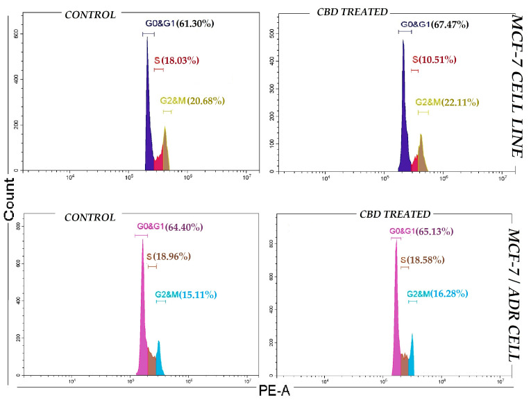 Evaluation of cell cycle in breast cancer cells (MCF-7 and MCF-7/Adr) treated with CBD after 48 h.