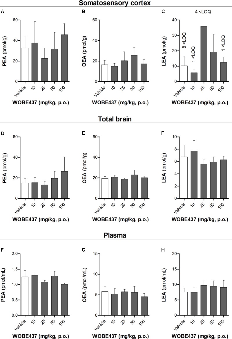 Levels of N-acylethanolamines 1 h after oral administration of WOBE437 in BALB/c male mice. (A) Palmitoylethanolamide (PEA), (B) oleoylethanolamine (OEA) and (C) linoleoylethanolamide (LEA) levels in somatosensory cortex. (D) PEA, (E) OEA, and (F) LEA levels in total brain homogenate. (G) PEA, (H) OEA, and (I) LEA levels in plasma. All data show mean values ± SD of at least 5 to 10 mice. Groups were compared using Kruskal–Wallis test followed by Mann–Whitney test. ∗p < 0.05 vs. vehicle. LOQ, limit of quantification; p.o. per os.
