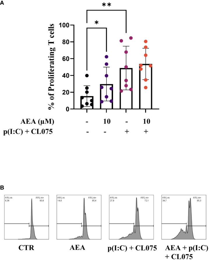 Anandamide treatment enhances T cell proliferation-inducing capability of moLCs. Monocytes were cultured in the presence of GM-CSF, TNFα, TGFβ and IL-4 (for 48 hrs) for 5 days to generate moLCs in the presence of 10 µM AEA, vehicle (0.1 v/v% absolute ethanol). Maturation was induced on day 4 by p(I:C) (20 µg/ml) and CL075 (0.5 µg/ml), both applied for 24 hours. Percentage of proliferating T cells after 5 days of coculture of naïve T cells and moLCs at a ratio of 6:1 (A). Representative histograms after 5 days co-culture of naïve T cells and moLCs at a ratio of 6:1 (B). N=8, mean ± SD, individual donors are represented by symbols. * p<0.05, ** p < 0.01 as determined by repeated measures one-way ANOVA compared to the marked groups. AEA, N-arachidonoylethanolamine, anandamide; CL075: TLR7/8 agonist, p(I:C), Polyinosinic:polycytidylic acid, TLR3 agonist.