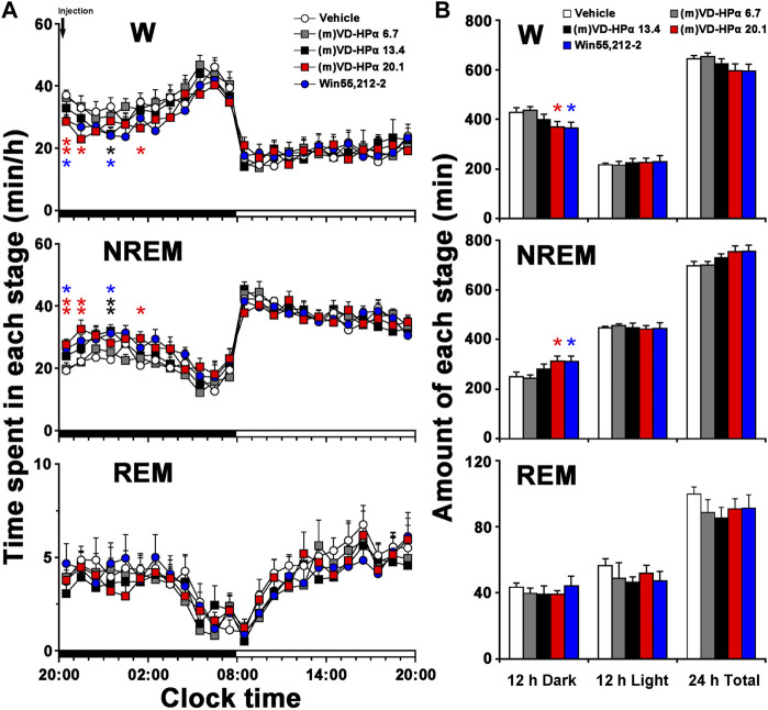 Sleep–wake profiles of rats treated with vehicle, 6.7, 13.4, and 20.1 nmol of (m)VD-HPα and Win55,212-2. (A) Time–course changes in wakefulness (W), NREM, and REM sleep for 24 h (n = 8–11, two-way repeated-measure ANOVA followed by the LSD post hoc test; W: F4,41 = 2.748, p = 0.041; NREM: F4,41 = 3.020, p = 0.028; and REM: F4,41 = 0.431, p = 0.785; *p < 0.05 and **p < 0.01 compared to vehicle). The horizontal filled and open bars indicate the 12-h dark and 12-h light periods, respectively. (B) Total time spent in W, NREM, and REM sleep during the 12-h dark and 12-h light phases and total 24 h (n = 8–11; one-way ANOVA followed by the LSD post hoc test, *p < 0.05, compared to vehicle). Data are the means ± SEM.