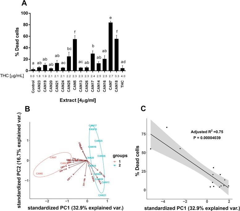 Differential effect of different high Δ9-THC extracts on the survival of cancer cells.(A) A549 cells were treated for 24 h with 4 µg/ml of 14 Δ9-THC-rich Cannabis extracts or pure Δ9-THC. Data are reported as mean ± SE of % dead cells out of total cells (N=5). Extracts are ordered on the x-axis by increasing Δ9-THC content in each extract (µg/ml). Statistical analysis was performed by one-way ANOVA, followed by Bonferroni's multiple comparisons test. Bars labelled with different letters are significantly different (P ≤ 0.05) from one another, according to the post-hoc ANOVA statistical analysis. (B) Principal Component Analysis (PCA) of 14 Δ9-THC-rich extracts according to the phytocannabinoid content. Criteria for cannabinoid inclusion in the PCA were detection in at least three extracts and a minimum concentration of 0.5 % w/w in one of the included extracts. (C) Linear regression of the percentage of dead A549 cells in response to 14 Δ9-THC-rich extracts according to their PC1 score.