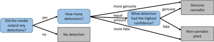 Decision scheme for class label prediction from the object detector models. The amount of labeled objects that were detected determines the class prediction. If equal, the detected object with the highest confidence determines the image's label. In cases with no detections, the class remains undecided, and the prediction is considered an incorrect result.