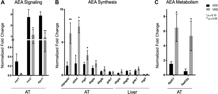 Evaluating AEA signaling, synthesis, and metabolism in VDD AT and Liver. A: VDD fish had significantly attenuated trpv1 and cnr2 expression and attenuated expression of cnr1 in AT compared with VDS fish. B: VDD fish had significantly increased napepld, abh4, and mgll expression in AT compared with VDS fish but significantly decreased daglb expression in liver. C: VDD fish had significantly increased faah1 and faah2a expression in AT compared with VDS fish.