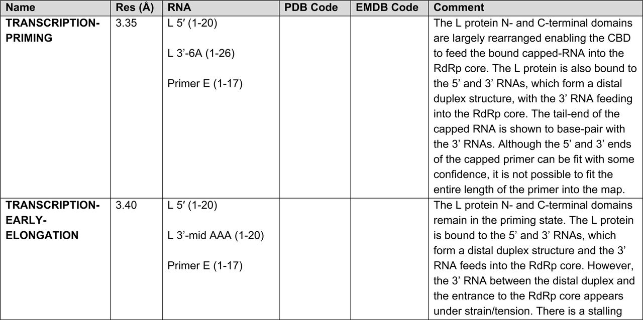 Overview of Cryo-EM Structures.An overview of the cryo-EM structures is provided with the reported resolution (Å), any RNA ligands present, PDB and EMDB accession codes, as well as supporting comments highlighting the key features of each structure.