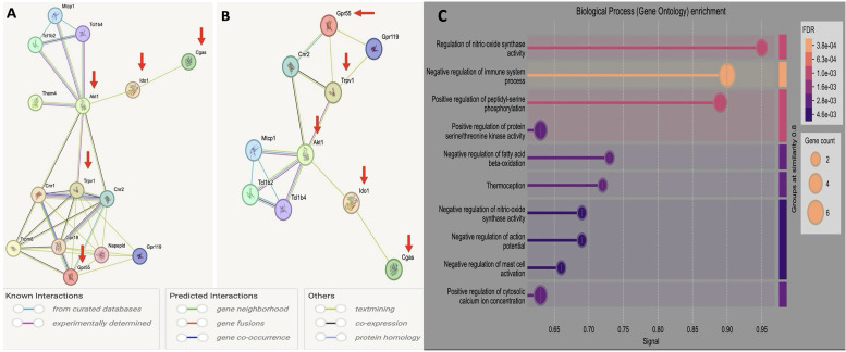 Bioinformatics analysis of the IDO/cGAS pathway in AD: CBD as a potential therapeutic target. A, PPI network analysis identifies IDO and cGAS as central nodes in neuroinflammatory signaling, along with CBD-interacting targets such as AKT1, TRPV1, and GPR55. These targets were prioritized based on both their functional relevance to immune regulation and their predicted high-confidence interactions with CBD from STRING database analysis. B, PPI enrichment analysis demonstrates significant coregulation between IDO/cGAS and the selected CBD-targeted nodes, suggesting coordinated involvement in neuroimmune and metabolic stress pathways implicated in AD. C, Gene ontology-based pathway enrichment analysis reveals that CBD-targeted genes participate in critical biological processes including nitric oxide synthase regulation, immune system modulation, and calcium ion homeostasis, key factors that influence glial activation, cytokine signaling, and neuroprotection in the context of AD-related neuroinflammation.