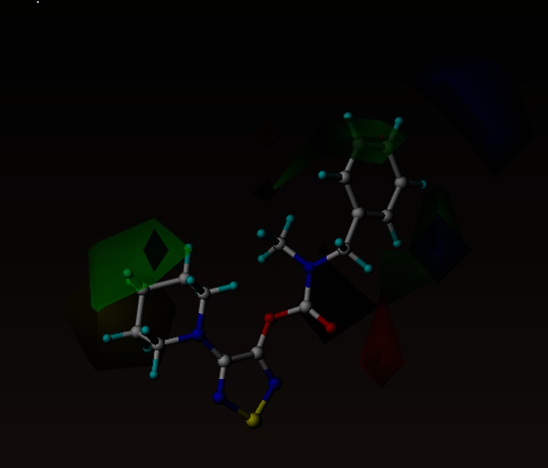 CoMFA steric and electrostatic contour fields. Fields drawn with 85/15 proportion of favorable and unfavorable interactions. The most active compound (1) is shown