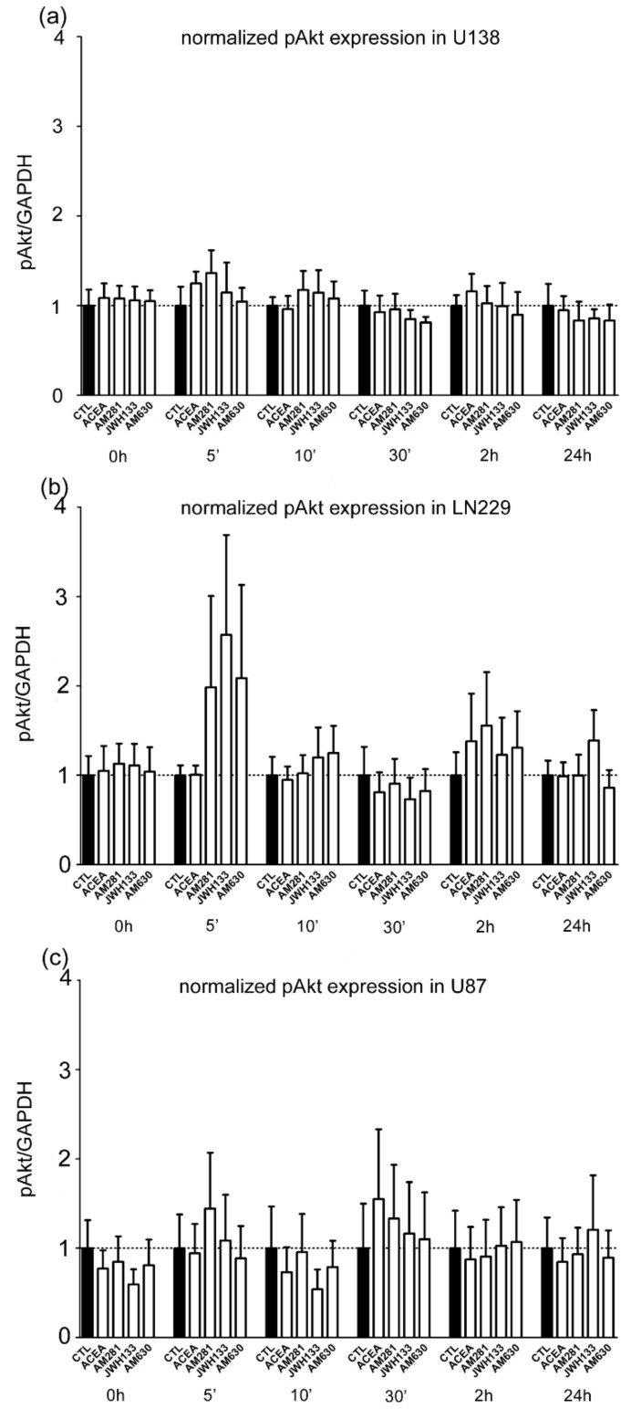 Activation of PI3K-Akt pathway in glioblastoma cell lines (a) U-138 MG, (b) LN229, and (c) U-87 MG. After 0 min, 5 min, 10 min, 30 min, 2 h, and 24 h no significant changes were observed in all examined cell lines (U-138 MG: n = 5–7, LN229: n = 5–9, U-87 MG: n = 4–7) in groups treated with agonists (ACEA, 10 µM; JWH133, 10 µM) and antagonists (AM281, 1 µM; AM630, 1 µM) for CB1 and CB2.