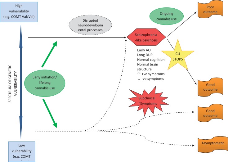 Pathway to psychosis in early-initiated, lifelong cannabis users.