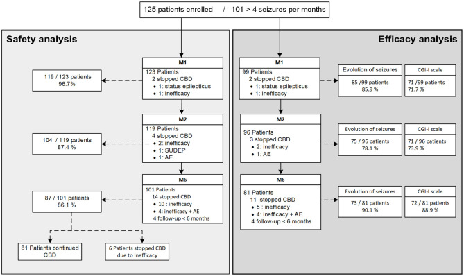 Flow chart of the study, including safety and efficacy. CBD, Cannabidiol; CGI-scale, Clinical Global Impression-Improvement scale; AE, Adverse Events; SUDEP, Sudden Unexpected Death in Epilepsy; M1, 1 month of treatment; M2, 2 months of treatment; M6, 6 months of treatment.
