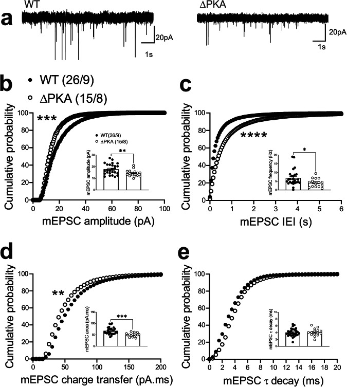 Genetic disruption of AKAP150-anchored PKA depressed glutamatergic transmission in LHb neurons.a Sample AMPAR-mediated mEPSC traces from WT (left) and ΔPKA mice (calibration bars: 20 pA/1 s). Average bar graphs of mEPSC and cumulative probability plots of (b) amplitude, (c) frequency (inter-event interval), (d) charge transfer and (e) τ decay for all mEPSCs in WT (filled symbols, n = 26 cells from 9 mice) and ΔPKA (open symbols, n = 15 cells from 8 mice). Two-tailed unpaired Student’s t-tests and Kolmogorov-Smirnov tests, *p < 0.05, **p < 0.01, ***p < 0.001, ****p < 0.0001. In this and all the following figures, the average data are presented as mean ± SEM.