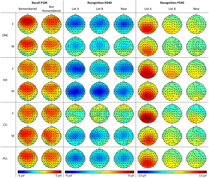 Topographic plots of activity across sites, groups and conditions for P185 in the Recall phase, and N340 and P540 in the Recognition phase for female and male young adults (Study 2).