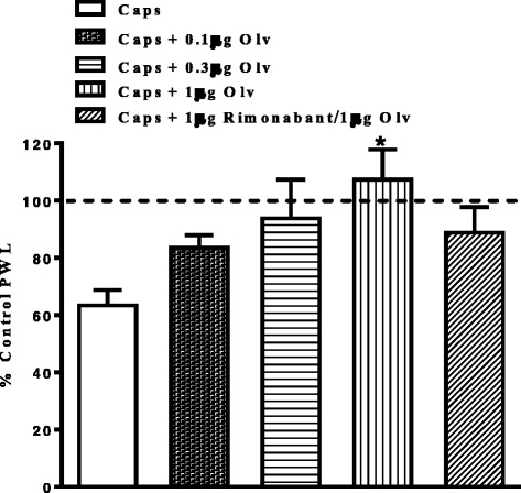 Effects of intraplantar injection of various doses of olvanil and rimonabant (1 μg) on capsaicin-induced thermal hyperalgesia. Rats received intraplantar injection of olvanil (Olv; 0.1, 0.3 and 1 μg) or a combination of 0.3 μg olvanil/1 μg rimonabant or vehicle 15 min prior to capsaicin (Caps). Data are expressed as mean ± SEM of % PWL and analyzed using one way ANOVA test followed by Dunnett’s post-hoc, different treatments were compared to vehicle at 10 min after injection (*P < 0.05, n = 7 rats per group)
