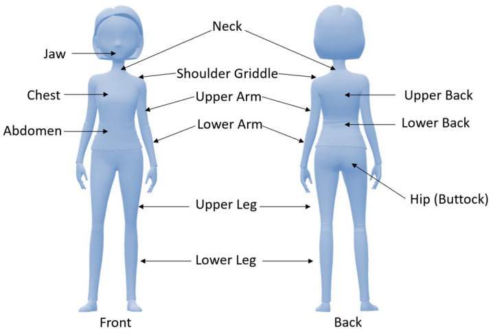 Tender points used for the diagnosis of fibromyalgia with the widespread pain index (WPI).
