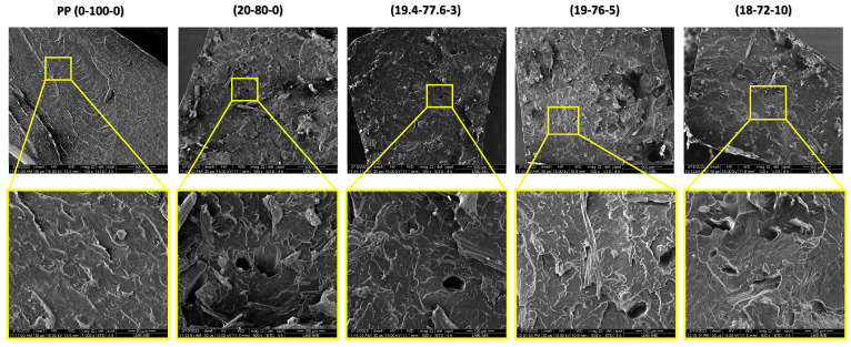Micrographs showing fracture surfaces of the composites after Izod impact testing at magnifications of 100× and 500×.