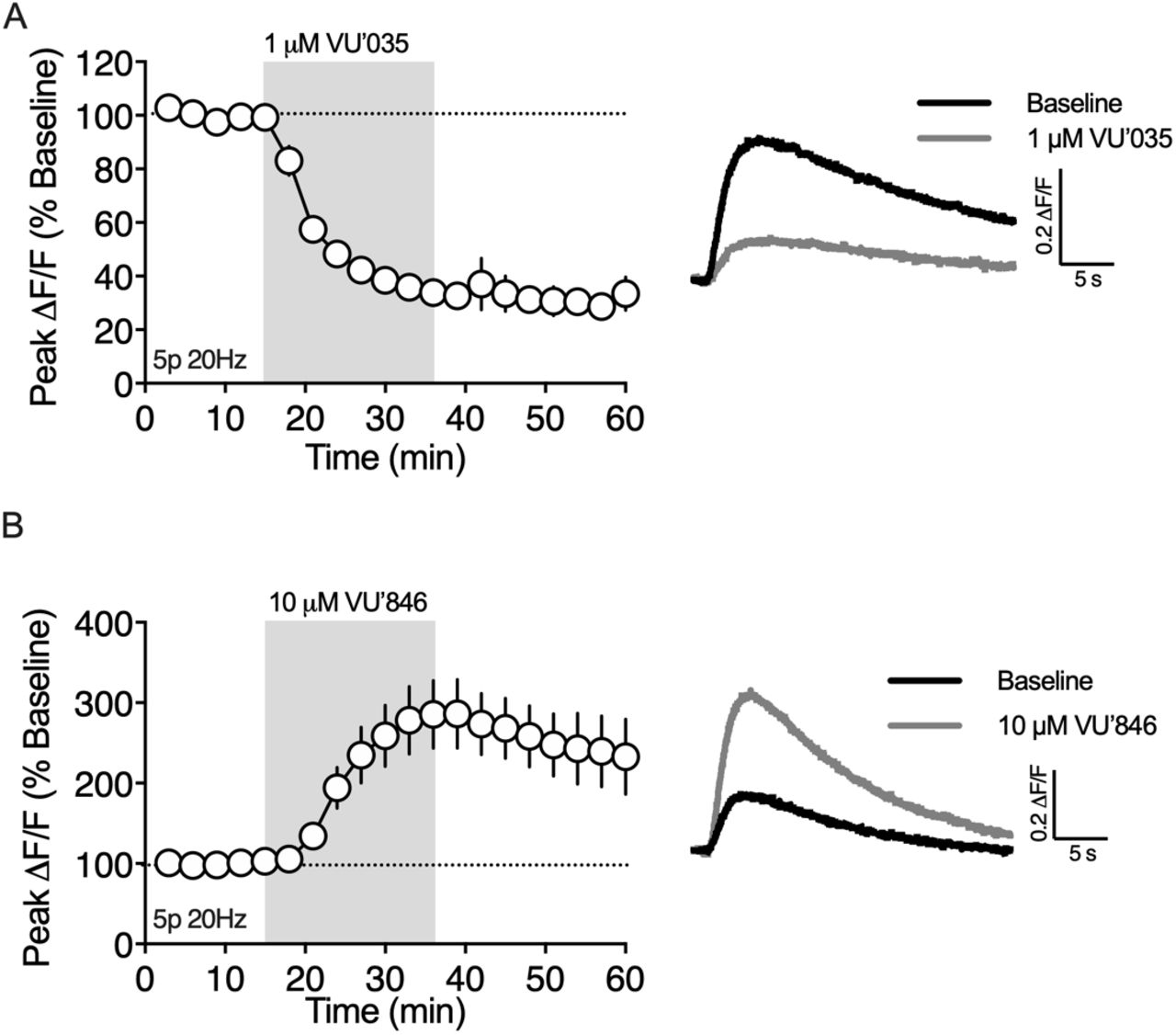 Muscarinic M1Rs are required for 2-AG generation evoked by brief synaptic stimulation.A) The M1R antagonist VU’035, decreased the peak amplitude of the 2-AG transient (n = 3 slices, 1-way RM ANOVA, Drug: F(2,4) = 242.8, p < 0.0001). B) The M1R positive allosteric modulator VU’846 augmented the amplitude of the 2-AG transient (n = 5 slices, 1-way RM ANOVA, Drug: F(2,8) = 13.36, p < 0.01).