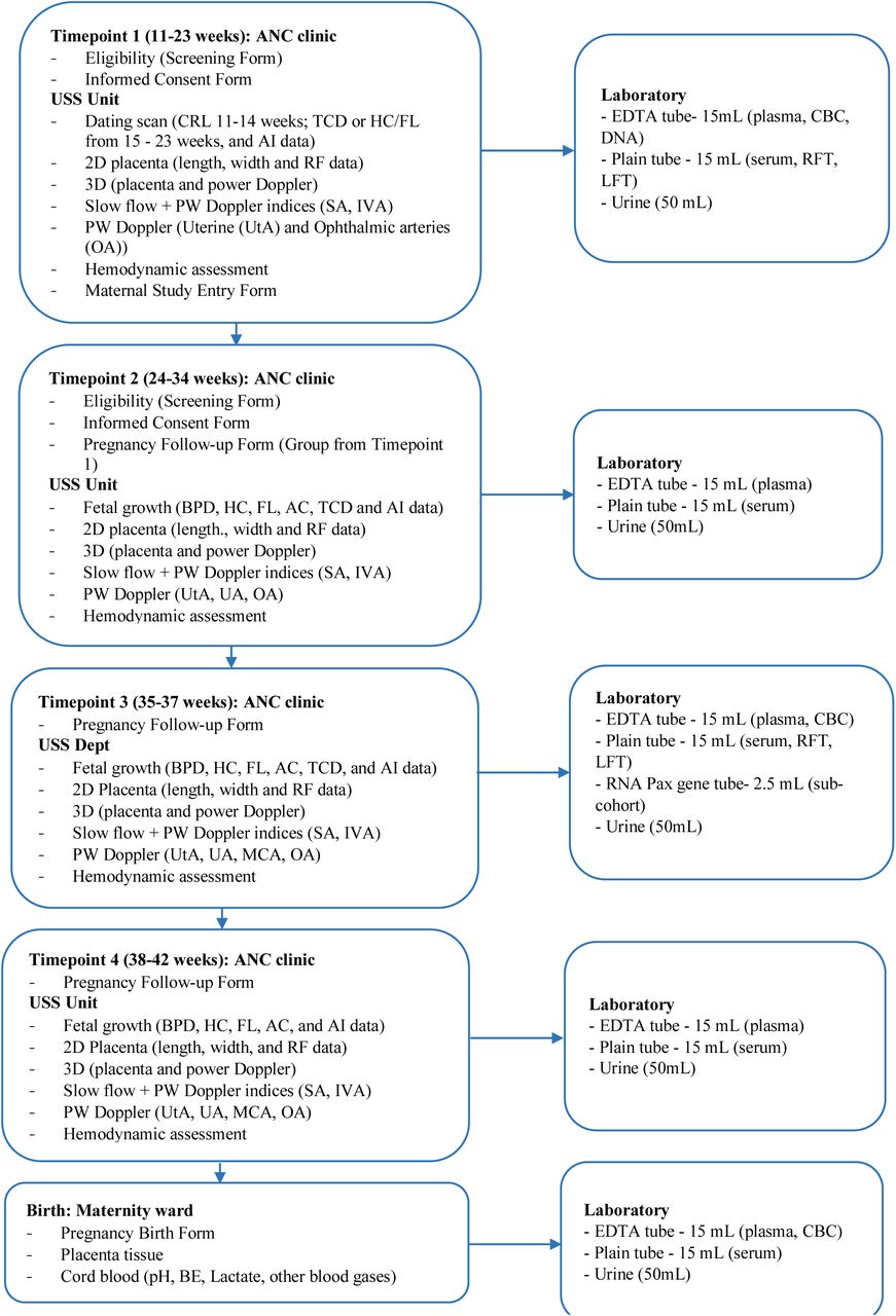 Measurements and biological samples obtained at study recruitment, each follow-up visit and birth
