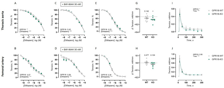 VSMC calcium handling in the isolated thoracic aorta and femoral artery of GPR18 KO mice. Arterial relaxations in response to VGCC inhibition by diltiazem were measured in 10 µM PE precontracted arterial rings in the absence (A,B) and presence (C,D) of VGCC agonist BAY-K8644 (30 nM), or after precontraction using 50 mM K+ (E,F) for the thoracic aorta (WT, n = 8; KO, n = 8) (A,C,E) and femoral artery (WT, n = 8; KO, n = 9) (B,D,F). Baseline VSMC tonus was determined as the decrease in tension when replacing normal Krebs–Ringer solution with a solution lacking calcium in arterial rings of the thoracic aorta (G) and femoral artery (H). Tracings of SR-mediated transient contractions after 10 µM PE stimulation in the absence of extracellular calcium are shown for arterial rings of the thoracic aorta (WT, n = 8; KO, n = 8) (I) and femoral artery (WT, n = 8; KO, n = 9) (J). During these measurements, 300 µM L-NAME was always present to inhibit possible confounding effects of NO production on vasoactive VSMC signaling. Statistical analysis using two-way ANOVA (A–F,I,J) or one-sample t-test against a hypothetical value of 0 (G,H). * p < 0.05; ** p < 0.01; *** p < 0.001.