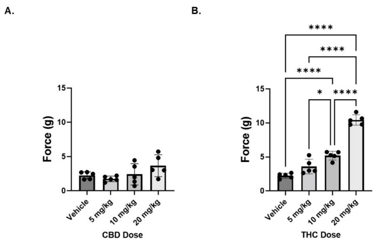 Dose response of cannabinoids on mechanical sensitivity in neuropathic male mice. (A) Mice were treated with CBD administered i.p. at 5, 10, or 20 mg/kg 1 h prior to measuring mechanical sensitivity. (B) Same as panel A except THC was administered. n = 5 mice per group. * p < 0.05, **** p < 0.001.