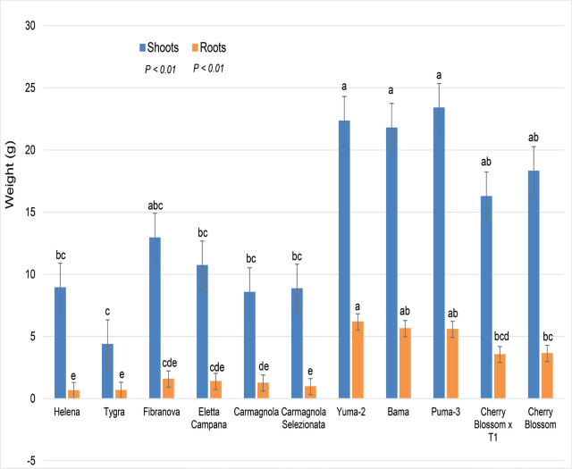 Hemp plant dry weights (g) with a mixed population of root-knot species and 11 hemp cultivars; all plants were inoculated with 10,000 RKN eggs. Factor levels not connected by the same letter are significantly different according to Tukey’s HSD with P ≤ 0.05 (Trial 2).