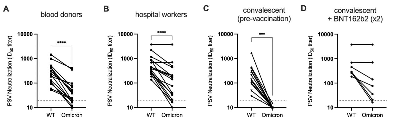 Characterization of the relative neutralization resistance of Omicron.A-B. Paired WT and Omicron pseudovirus neutralization titers for the Recent Blood Donor (BD; N=17) and Hospital Worker (HW; N=17) cohorts against the pandemic founder (WT) and B.1.1.529 (Omicron). C. Samples taken from the HWs approximately one (▲) or four (▼) months after infection, but prior to vaccination (convalescent) show a substantial reduction in the ability to neutralize Omicron, with all ID50s falling below the limit of detection (20). D. For seven HW that reported receiving two doses of BNT162b2 subsequent to infection, cross-neutralization of Omicron was evident.
