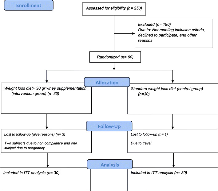 CONSORT flow diagram. We conducted a 2-month open-label, parallel-group, randomized controlled trial to determine the effect of whey protein supplementation on levels of endocannabinoids, glycemic and lipid profile, and body composition in 60 pre-menopausal obese women on a weight-loss diet