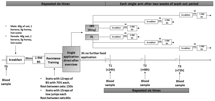 Study design. BS = Back Squat; reps = Repetitions; s = second; 1RM; One-Repetition Maximum; h = hours.