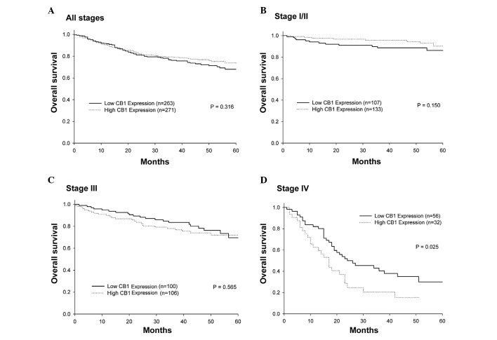 Influence of cannabinoid type 1 (CB1) receptor expression at surgery on overall survival by Kaplan-Meier plots. (A) All stages; (B) stage I/II; (C) stage III and (D) stage IV.