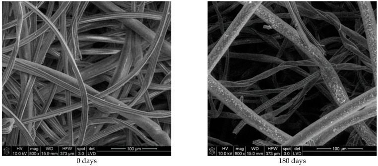 SEM images (×800) of viscose and PLA fibres from unexposed nonwoven mulches (0 days) and mulches exposed for 180 days to environmental conditions.