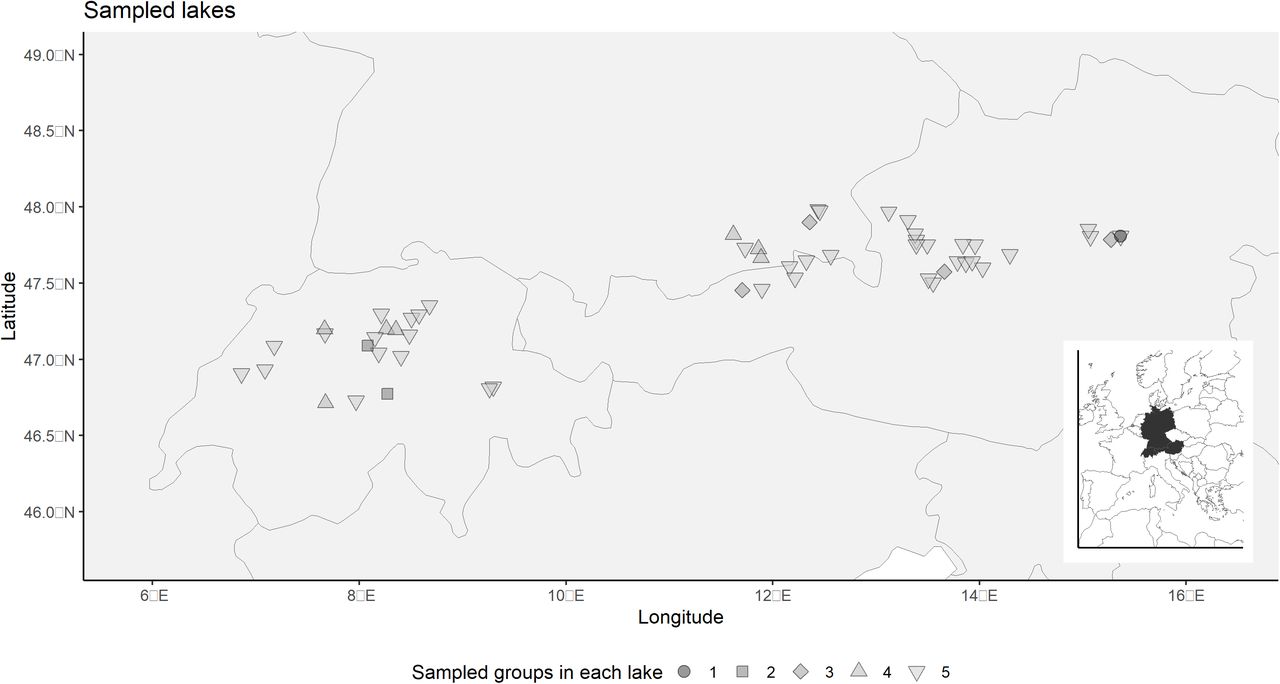 Sampled lakes locations and the number of groups that we sampled in each one of the lakes, not all groups were samples in all lakes. The smaller map highlights in black the three countries containing sampled lakes: Austria, Germany and Switzerland.