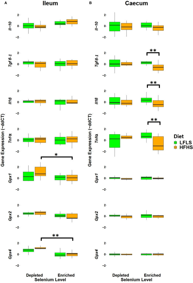 Intestinal mRNA expression of immune response and antioxidant state genes as fold change (FC) calculated using the ΔΔCT method. (A) Ileum. (B) Caecum. Gene expression was normalized to Hprt. P values of linear contrast analysis are detailed when significant ‘**’, P < 0.01, ‘*’, P<0.05 using contrast test between enriched and depleted Se levels, LFLS and HFHS formulations and the combination between Se levels and formulations. The samples were analysed at day 28 of the study.