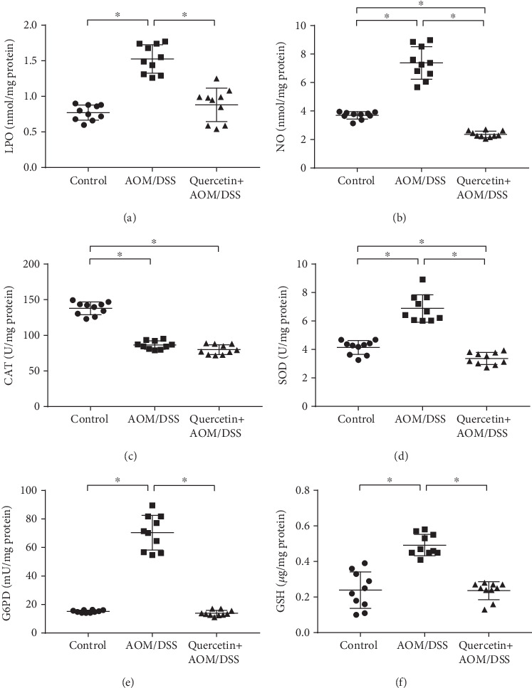 Quercetin reduces oxidative stress in AOM/DSS-treated mice. (a) Quantification of the LPO expression level in control and experimental mice colon tissues. (b) Quantification of the NO expression level in control and experimental mice colon tissues. (c) Quantification of the CAT expression level in control and experimental mice colon tissues. (d) Quantification of the SOD expression level in control and experimental mice colon tissues. (e) Quantification of the G6PD expression level in control and experimental mice colon tissues. (f) Quantification of the GSH expression level in control and experimental mice colon tissues. Data are expressed as mean values ± SD (n = 10/group). ∗P < 0.05, Student's t-test.