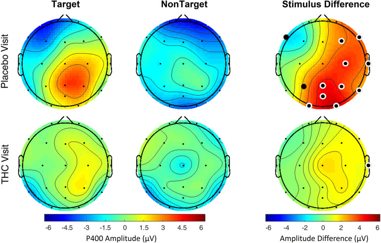 Verbal memory scan, P400 by visit and stimulus. Robust amplitude differences between Target and NonTarget stimuli seen during the placebo visit were significantly reduced during THC visit. Filled black circles mark significant channels before FDR correction for multiple comparisons; white rings indicate channels that remained significant after FDR correction for multiple comparisons.