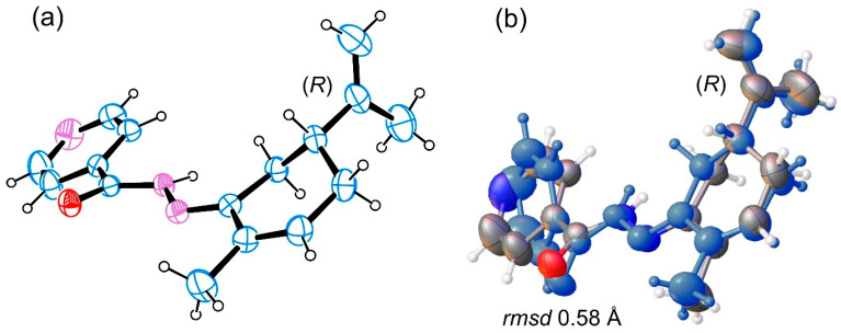 Molecular structure of (a) one of the molecules present in the asymmetric unit of 3i, showing the assigned (R) configuration at the stereogenic center and (b) overlay of the two crystallographically independent molecules in the asymmetric unit, showing their close conformational similarity with an rmsd of 0.58 Å.