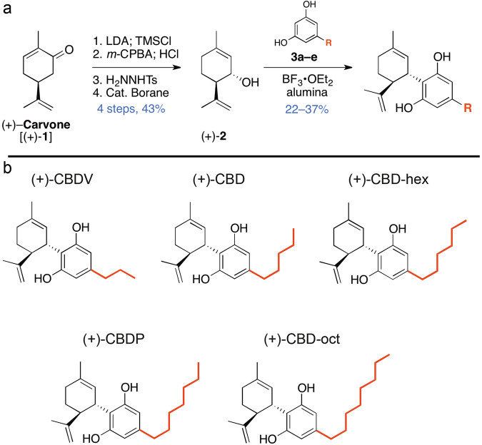 Schemes of synthesis of enantiomer-CBD derivatives and final structures.a Conversion of (+)-carvone into (-)-isopiperitenol in the synthesis of (+)-CBD. This process relies on the one-pot borane reduction / thermal rearrangement of an α,β-unsaturated hydrazone. b By uniting synthetic (+)-isopiperitenol with olivetol derivatives (Ar-H) under buffered Lewis acid conditions, we prepared a library of non-natural, enantiomer-CBD derivatives, each tailored with a different alkyl chain. While the derivatives with an odd number of alkyl carbons are known in their natural form, compounds featuring an even number of alkyl carbons have never been previously reported in either enantiomer form.