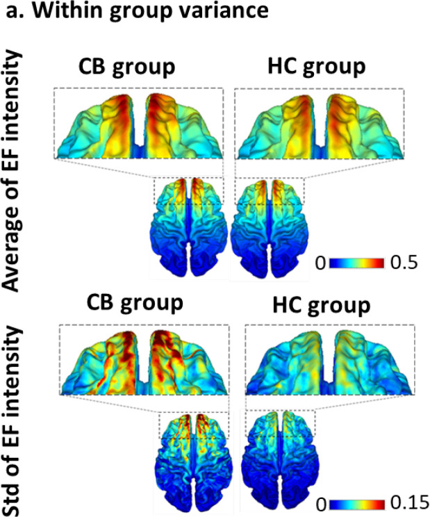 Within group varianceNotes: Mean±SD of the electric field intensity in volts per meter (V/m) for cannabis users (CB group) and healthy controls (HC group) in standard fsaverage space with bilateral the dorsolateral prefrontal cortex stimulation (anode/cathode over F3/F4 with 2 mA current intensity).