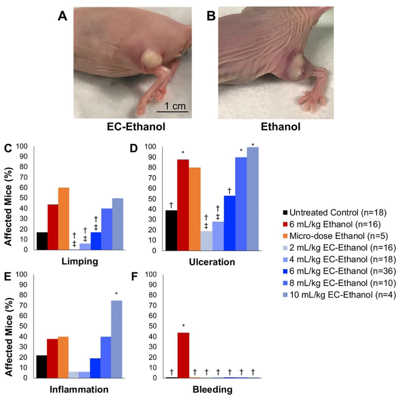Localized Adverse Events after EC-ethanol Compared to Pure Ethanol.Mouse flank tumor after injection of (A) 6% EC-ethanol and (B) ethanol. Rates of (C) limping, (D) tumor ulceration, (E) inflammation, and (F) subdermal bleeding after each treatment protocol. Athymic nude mice with 67NR tumors grown on their flanks were injected at a rate of 1 mL/hr when tumors were approximately 50 mm3 in volume. Chi squared test significance of P<0.05 is indicated with (*) asterisk compared to untreated group, (†) dagger compared to 6 mL/kg ethanol group, (‡) double dagger compared to repeated 6 x 2 mL/kg/day ethanol group.