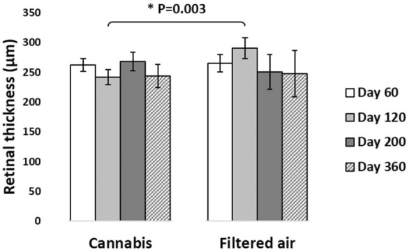 Total retina thickness on SD-OCT of the offspring of pregnant mice exposed to Cannabis smoke or filtered air during pregnancy (mean ± standard deviation). *P = 0.003 (MANOVA, 95% CI: 251–263, age*exposition)