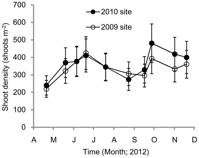 Variations in shoot density (shoots m−2) of Zostera marina at the 2009 and 2010 transplant sites.Values are means ± SD.