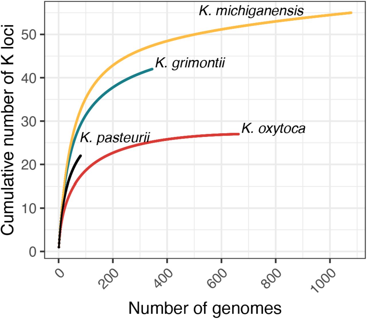 Rarefaction curves showing accumulation of K loci with increasing sampling of Klebsiella oxytoca Species Complex genomes.The four most common species among the available genome data are represented independently as indicated by the labels. The curve for K. oxytoca has reached a plateau. The curves for K. michiganensis and K. grimontii are trending to, but do not reach, plateau. The curve for K. pasteurii has not reached plateau, likely due to its comparatively small sample size.