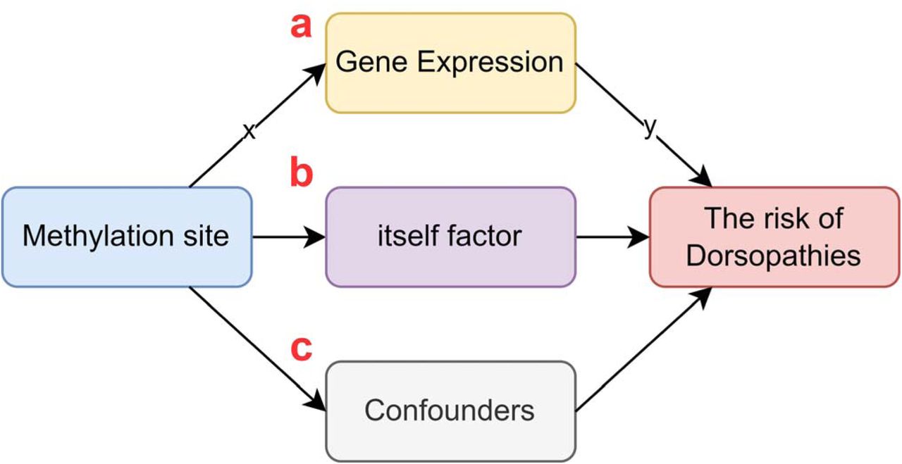 Methylation sites affect disease pathways.