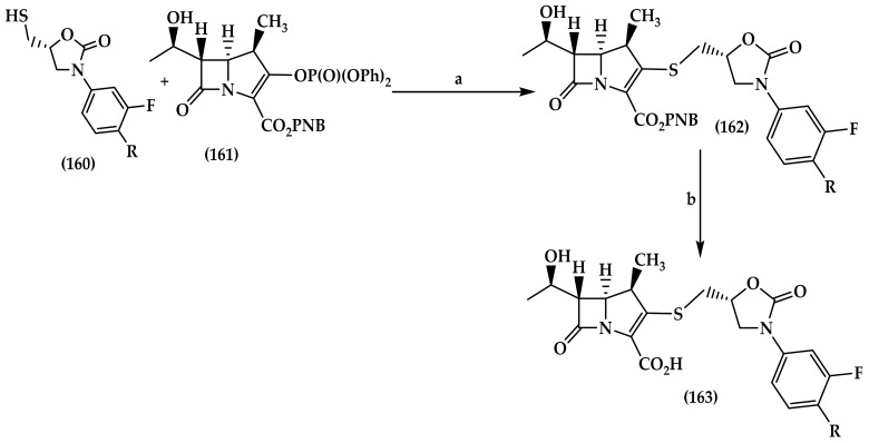 Procedure for synthesis of carbapenem-oxazolidinone hybrids (163). Reagents and conditions: (a) i-Pr2NEt, CH3CN, −10–0 °C, 8 h, 72–81%; and (b) H2, 10% Pd-C, THF/H2O, 30 °C, 2 h, 55–76%.