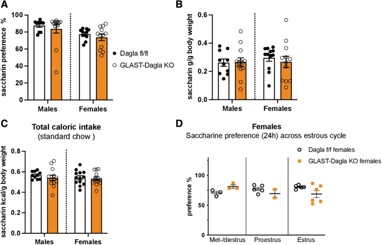 GLAST-Dagla KO mice show no differences from WT controls in the preference for noncaloric sweet-tasting saccharine solution. There were no genotype differences between GLAST-Dagla KO and control mice of either sex in the saccharine preference test. (A) Cumulative saccharine (0.1%) preference over the total amount of liquid consumed did not differ between GLAST-Dagla KO and control mice in either male (U=59, p=0.726) or female group (t(21)=0.874, p=0.392). (B) Cumulative saccharine solution intake per gram BW was not changed between the groups; either males (t(21)=0.095, p=0.925) or females (U=53, p=0.291). (C) Total caloric intake (from sucrose solution plus standard chow)/gram of BW was also not different between the genotypes: males (t(21)=0.095, p=0.925) or females (U=53, p=0.291). (D) Saccharine preference was not changed in different estrous cycle stages between female GLAST-Dagla KO and control mice at 24 h; met-/diestrus: p=0.1, proestrus: p=0.571, estrus stage: p=0.116. Mann–Whitney U or Student's t-tests (n=10–15/group, A–C). Student's t-tests (n=1–7/subgroup, D). Values represent mean±SEM.