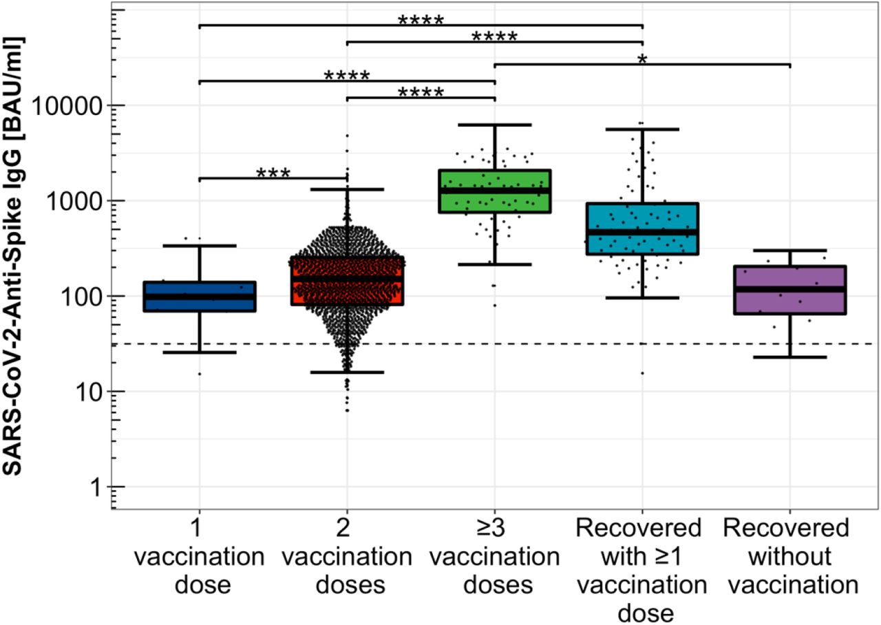 Distribution of Anti-SARS-CoV-2-Spike IgG levels depending on immunization schemeDistribution of Anti-SARS-CoV-2-Spike IgG titres among single, double, and threefold COVID-19 vaccinated participants, only COVID-19 convalescent study participants as well as hybrid immunized participants including SARS-CoV-2 infection convalescence and COVID-19 vaccination, logarithmically scaled.****: p < 0.0001***: p < 0.001**: p < 0.01*: p < 0.05BAU/ml: Binding Antibody Units per millilitre