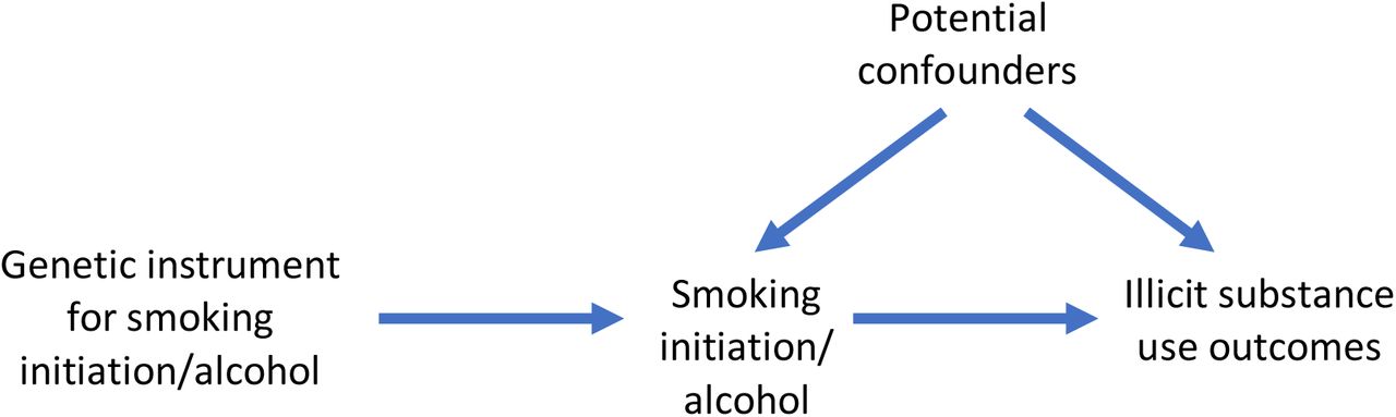 Bidirectional two-sample Mendelian randomisation between smoking initiation/alcohol consumption and illicit substance use outcomesA directed acyclic graph (DAG) for the causal effect between smoking initiation/alcohol consumption and illicit substance use outcomes. Evidence of a causal effect in the other direction may indicate a bidirectional effect, or a common underlying risk factor.
