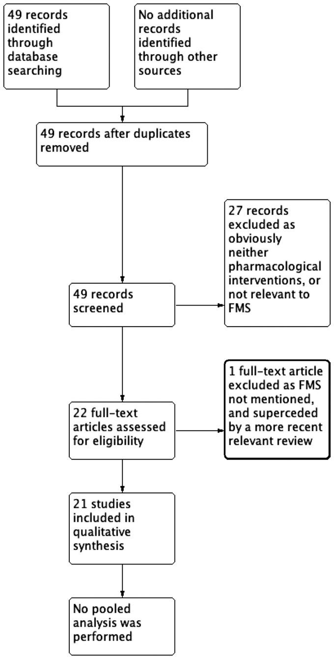 Study flow diagram