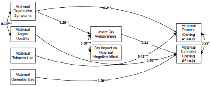 Final model note. Numbers represent standardized path coefficients; nonsignificant paths are not depicted for ease of presentation. Covariates included maternal age at recruitment and number of live births. * p < 0.05, ** p < 0.01, *** p < 0.001.